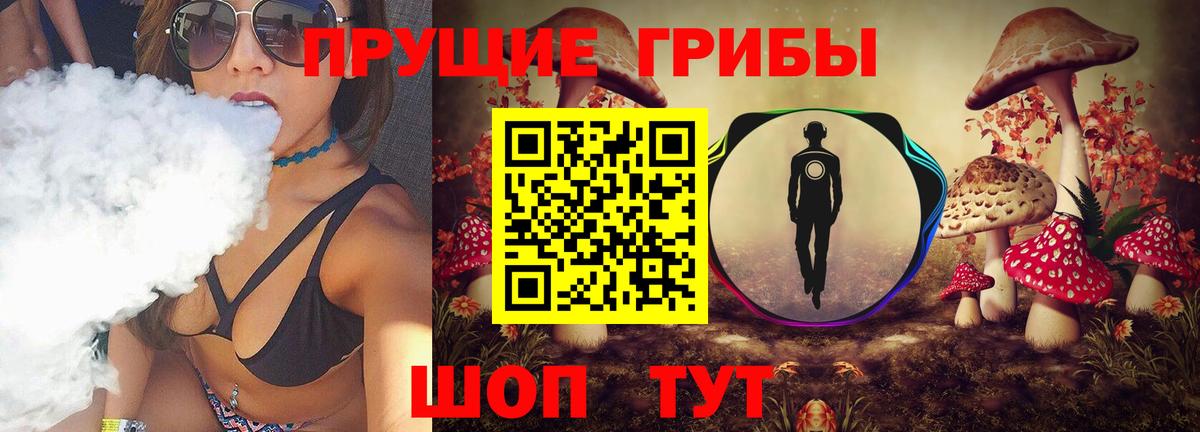Красноуфимск  Галлюциногенные грибы ЛСД  Вход с VPN 