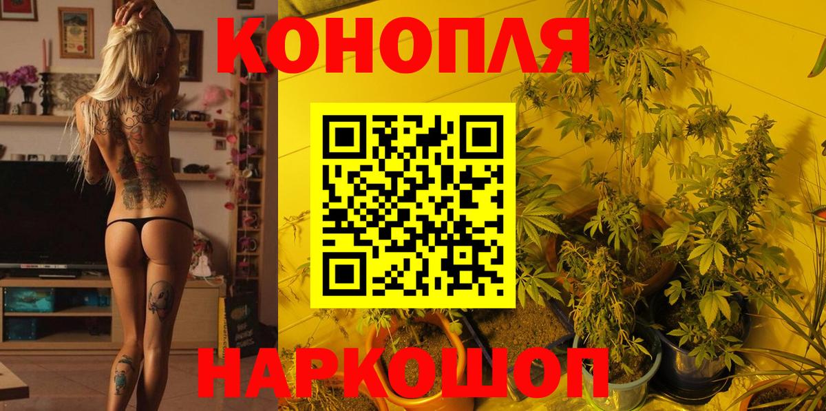 Красноуфимск  Канабис планчик  Бошки Шишки планчик  Вход с VPN  Бошки Шишки VHQ  Шишки марихуана THC 21% 
